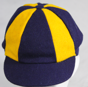 images/stories/virtuemart/product/panel-navy-gold