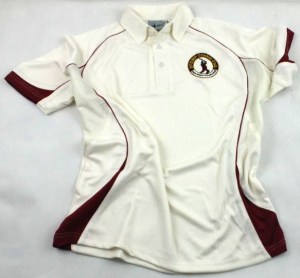 images/stories/virtuemart/product/sfwdp--shirt(7)
